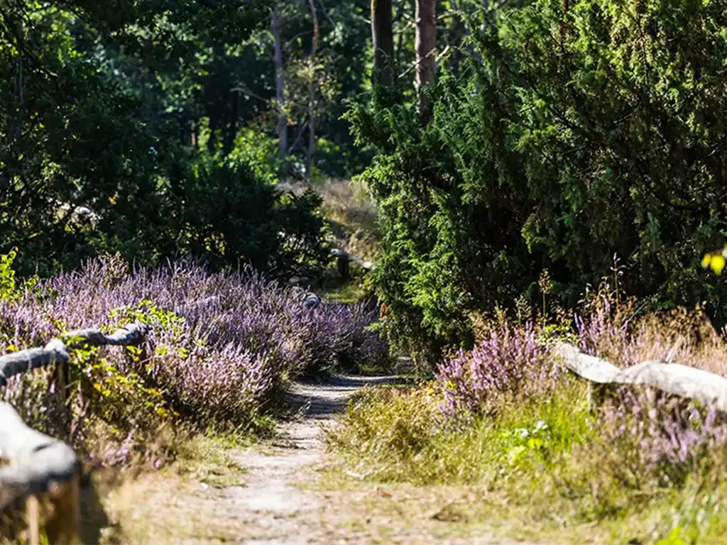 Weite Felder und Natur im Münsterland