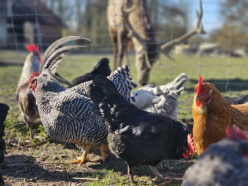Ruhige Lage vom Hotel Wermelt in Greven mit Umgebung